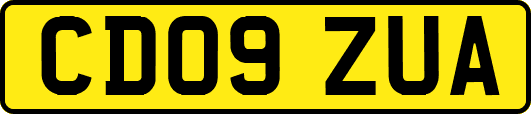 CD09ZUA