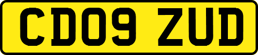 CD09ZUD