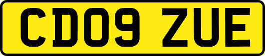 CD09ZUE
