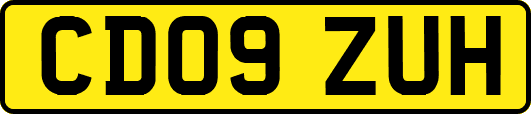 CD09ZUH
