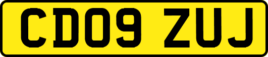 CD09ZUJ