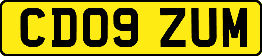 CD09ZUM