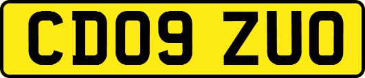 CD09ZUO