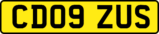 CD09ZUS