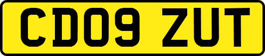 CD09ZUT