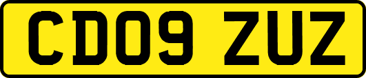 CD09ZUZ