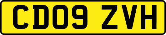 CD09ZVH