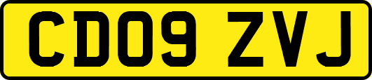 CD09ZVJ