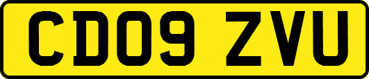 CD09ZVU