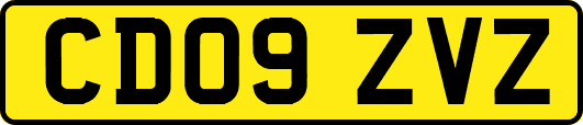 CD09ZVZ