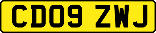 CD09ZWJ