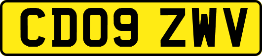 CD09ZWV