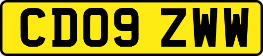 CD09ZWW