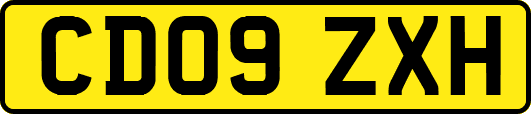 CD09ZXH