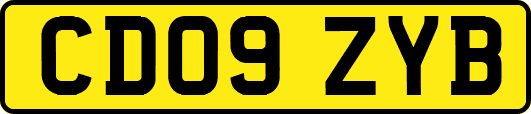 CD09ZYB