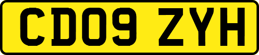 CD09ZYH