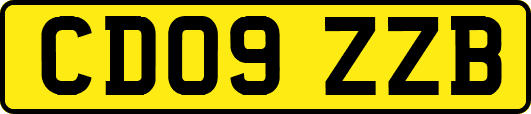 CD09ZZB