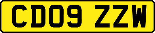 CD09ZZW