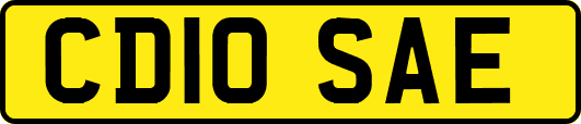 CD10SAE