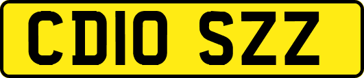 CD10SZZ