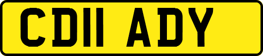 CD11ADY
