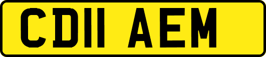 CD11AEM