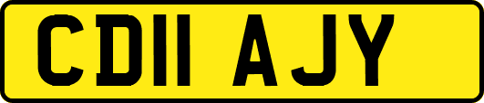 CD11AJY