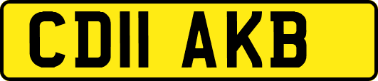 CD11AKB