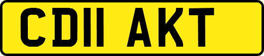 CD11AKT