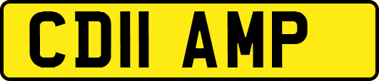 CD11AMP