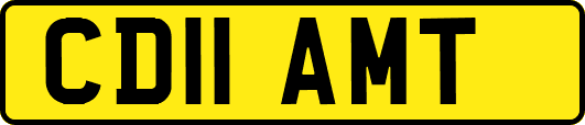 CD11AMT