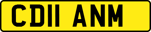 CD11ANM