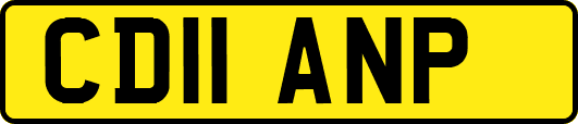 CD11ANP