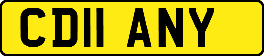 CD11ANY