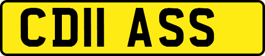 CD11ASS
