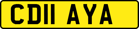 CD11AYA