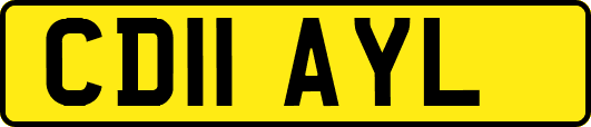CD11AYL