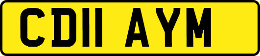 CD11AYM