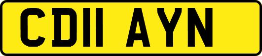 CD11AYN