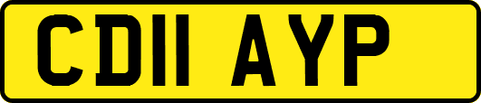 CD11AYP