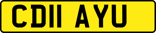 CD11AYU