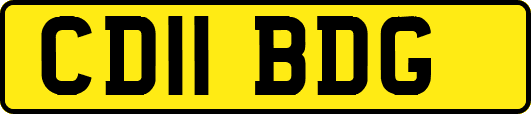 CD11BDG