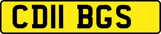 CD11BGS