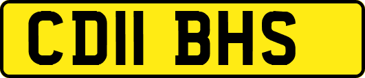 CD11BHS