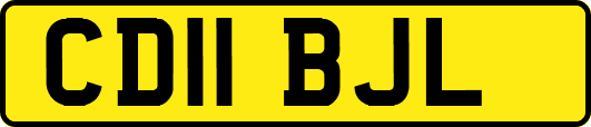 CD11BJL