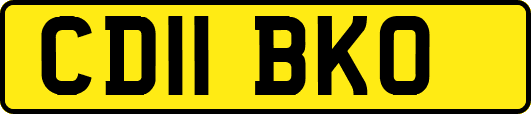 CD11BKO