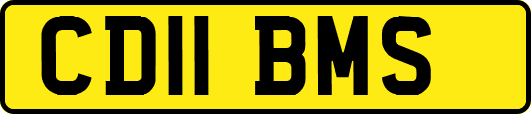CD11BMS