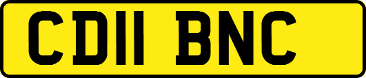 CD11BNC