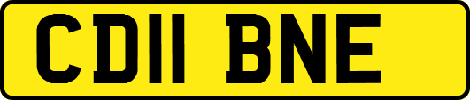 CD11BNE