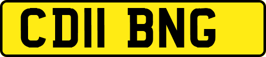 CD11BNG